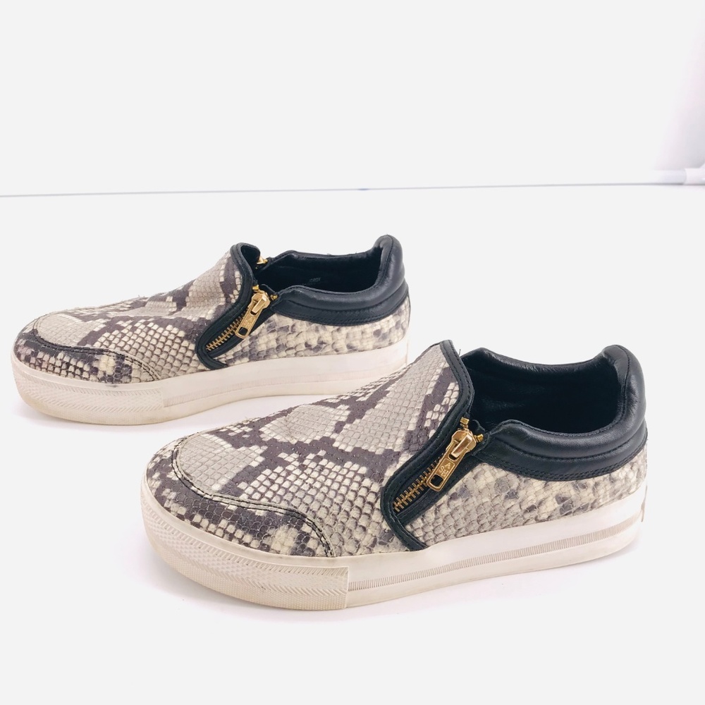 Ash Jordy Snake-Print Leather Sneaker Side Zipper Roccia & Black Size 40 US 10 - Picture 5 of 8